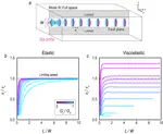 Viscoelastic ruptures